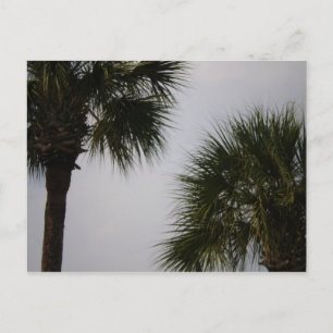 lpn 160 postcard