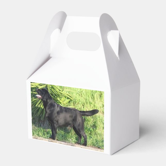 LR black lab full Favour Box (Front Side)