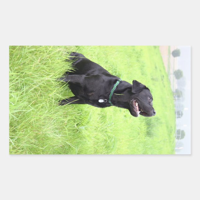 LR black lab sitting Rectangular Sticker (Front)