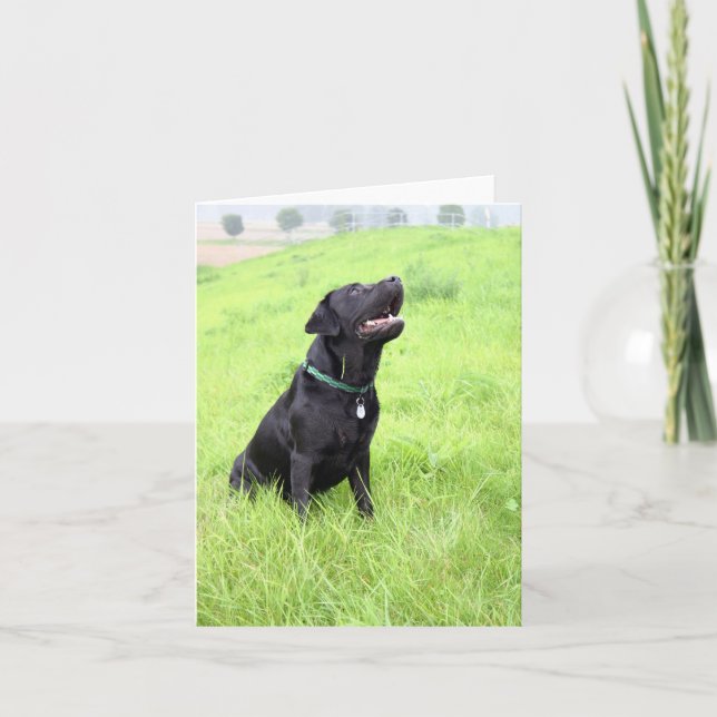 LR black sitting Card (Front)