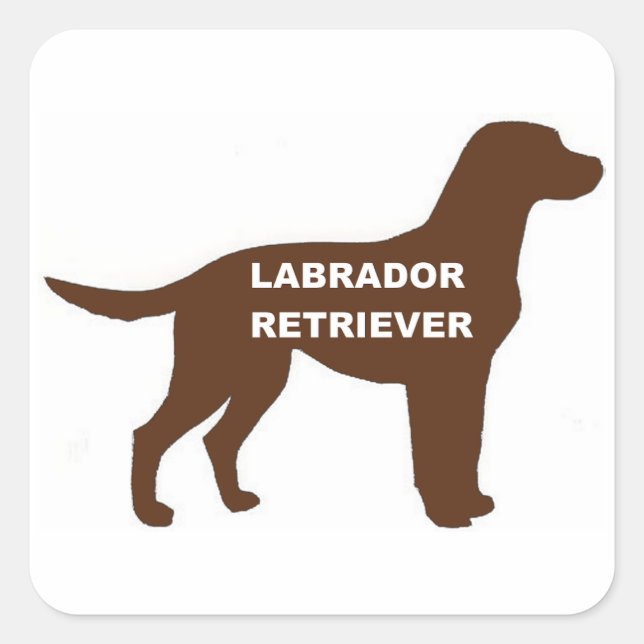 LR chocolate lab name silhouette Square Sticker (Front)