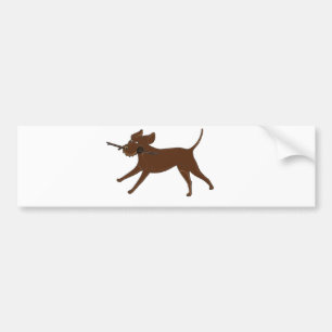 LR chocolate lab with stick Bumper Sticker