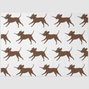LR chocolate lab with stick Tissue Paper