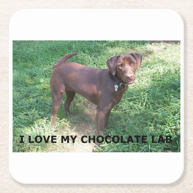 LR chocolate love with picture Square Paper Coaster (Front)