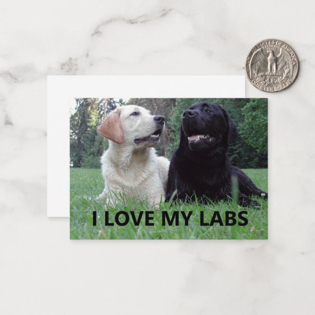 LR I Love My Labs with picture Card (Front/Back In Situ)