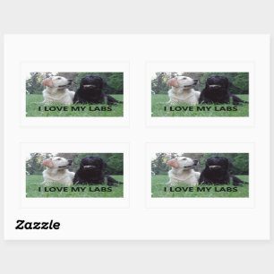 LR I Love My Labs with picture Rectangular Sticker