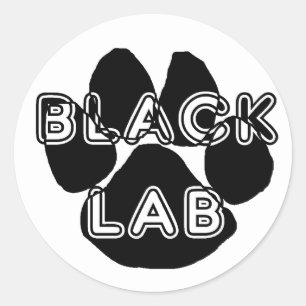 LR name paw black Classic Round Sticker