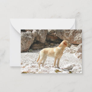 LR yellow lab full Card