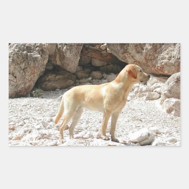 LR yellow lab full Rectangular Sticker (Front)