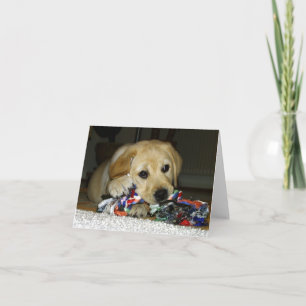 LR yellow lab pup w toy Card