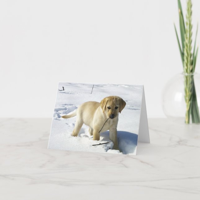 LR yellow lab puppy in snow Card (Front)
