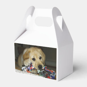 LR yellow lab puppy with toy Favour Box