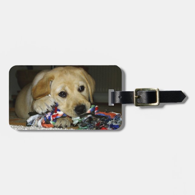LR yellow lab puppy with toy Luggage Tag (Front Horizontal)