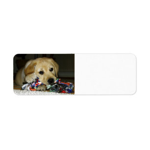 LR yellow lab puppy with toy Return Address Label
