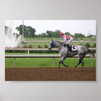 LSP Series (2) Poster