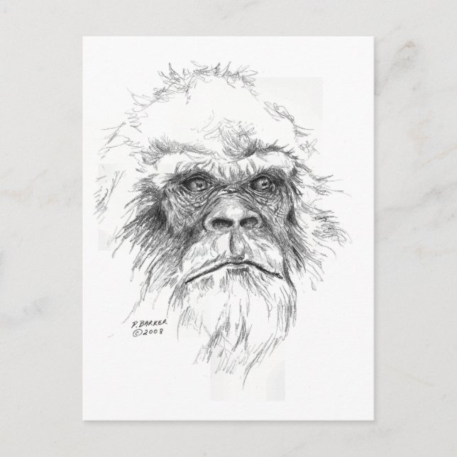 LTB Postcards (Front)