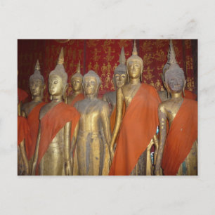 luang buddhas postcard