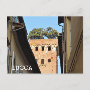 Lucca, Italy Postcard