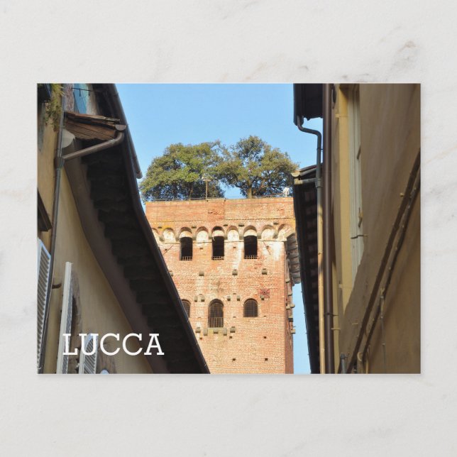 Lucca, Italy Postcard (Front)