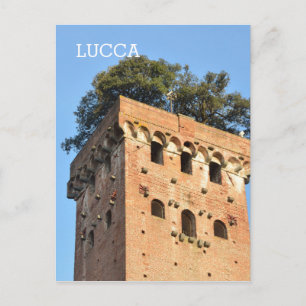 Lucca, Italy Postcard