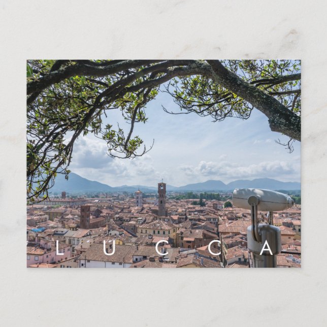 Lucca rooftops view postcard (Front)