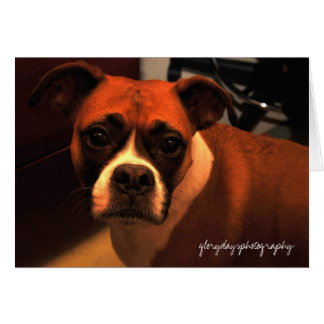 Lucie Monroe portrait