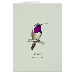 Lucifer Hummingbird Happy Birthday Card