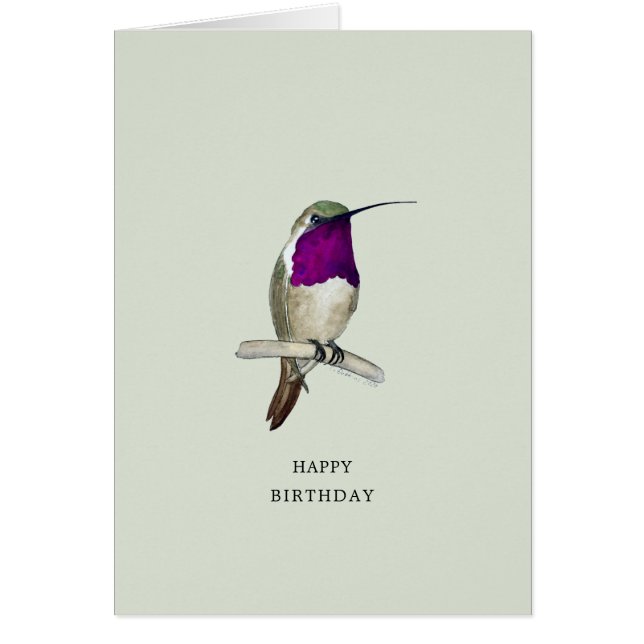 Lucifer Hummingbird Happy Birthday Card (Front)