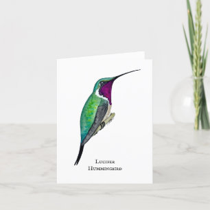 Lucifer Hummingbird Thank You Card