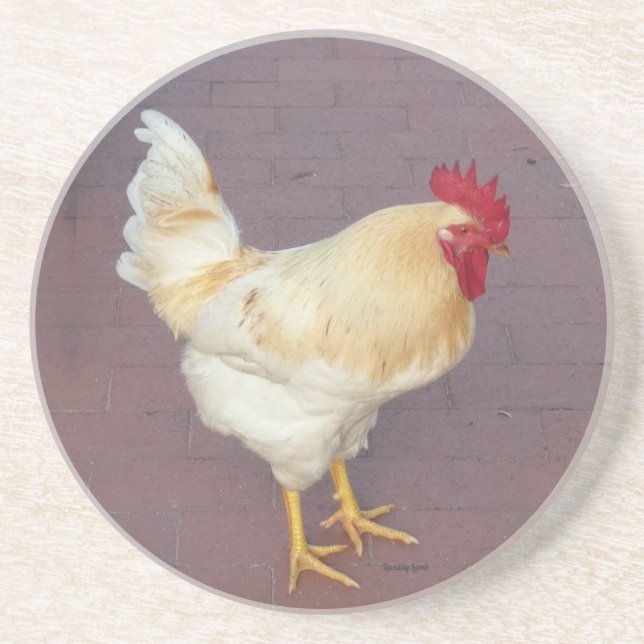 Luci's Roosters White Rooster Stone Coaster (Front)