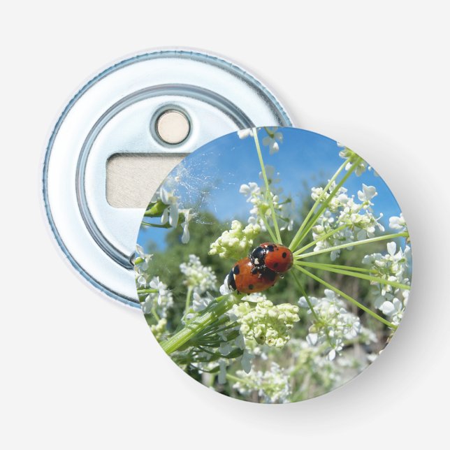 luck beetle bottle opener (Front)