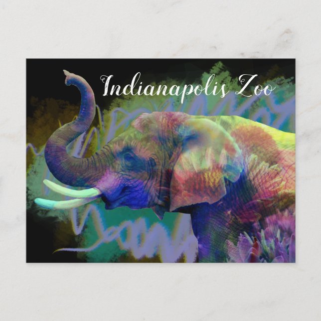 Luck of the Nose Colourful Elephant Postcard (Front)