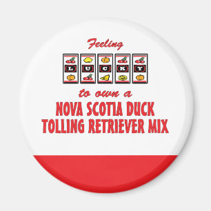Luck to Own Nova Scotia Duck Tolling Retriever Mix Magnet