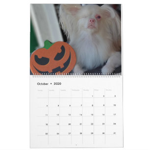 Lucky 2020 Calendar