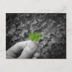 Lucky 6 (selective coloured version) postcard