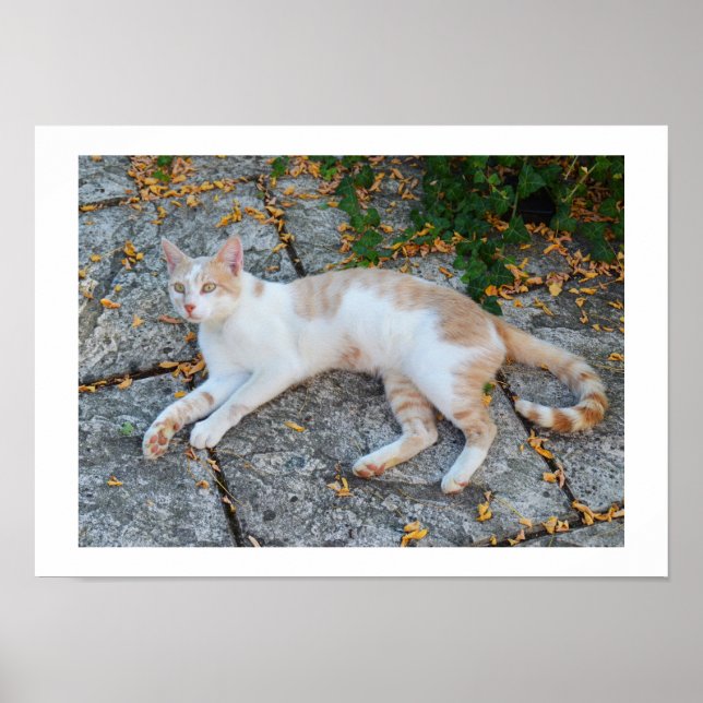 Lucky awake poster (Front)