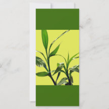 lucky bamboo green leaves keep calm read on