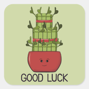 Lucky Bamboo Plant with Greeting Square Sticker
