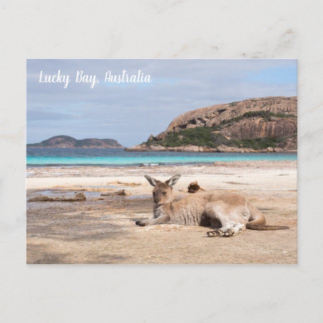 Lucky Bay Beach Kangaroo, Australia Postcard (Front)