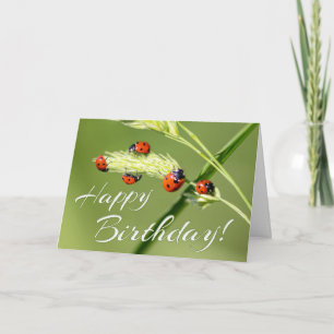 Lucky Birthday with 5 little ladybugs! Card