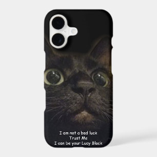 Lucky Black Cat