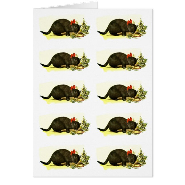 Lucky black cats card (Front)