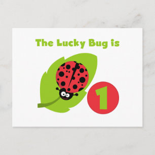 Lucky Bug 1st Birthday T-shirts and Gifts Postcard