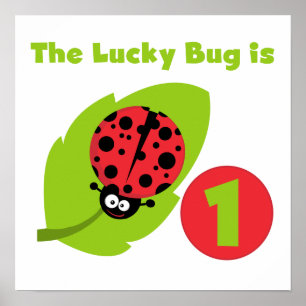 Lucky Bug 1st Birthday T-shirts and Gifts Poster