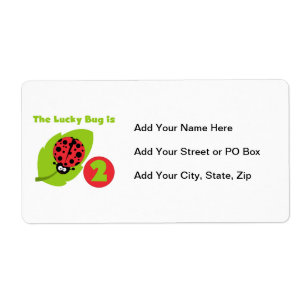 Lucky Bug 2nd Birthday T-shirts and Gifts