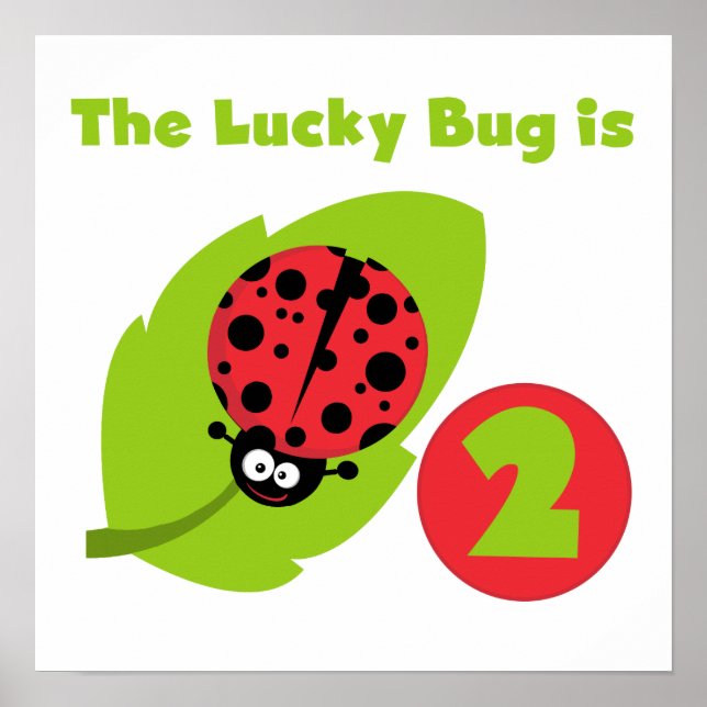 Lucky Bug 2nd Birthday T-shirts and Gifts Poster (Front)