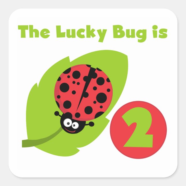 Lucky Bug 2nd Birthday T-shirts and Gifts Square Sticker (Front)
