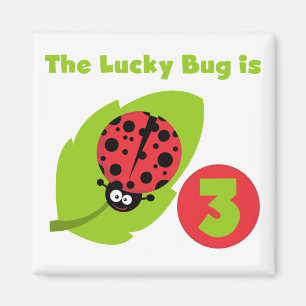 Lucky Bug 3rd Birthday T shirts and Gifts Magnet