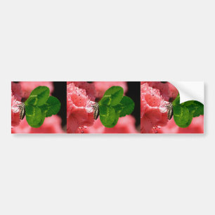 Lucky Butterfly Bumper Sticker