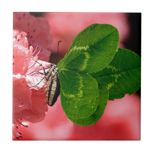 Lucky Butterfly Ceramic Tile (Front)